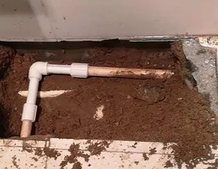 磴口测漏水哪家好