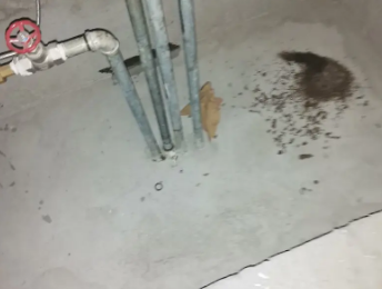 磴口卫生间测漏水价格明细