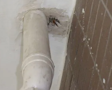 磴口漏水检测哪家好